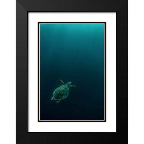 The Fly Of The Hawksbill Black Modern Wood Framed Art Print with Double Matting by Melesan, Serge