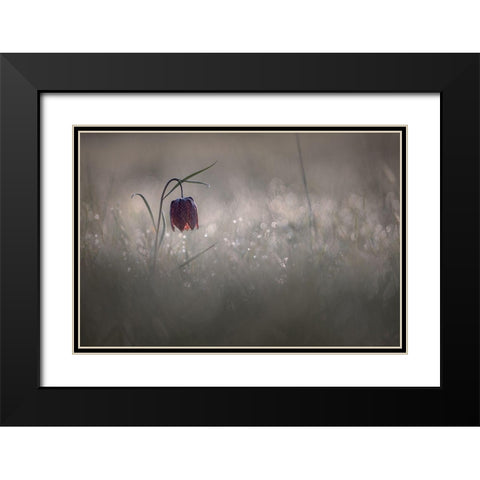 Pactillant Black Modern Wood Framed Art Print with Double Matting by Blomme, Sebastien