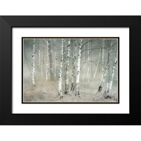 Morning Silence Black Modern Wood Framed Art Print with Double Matting by Talen, Nel