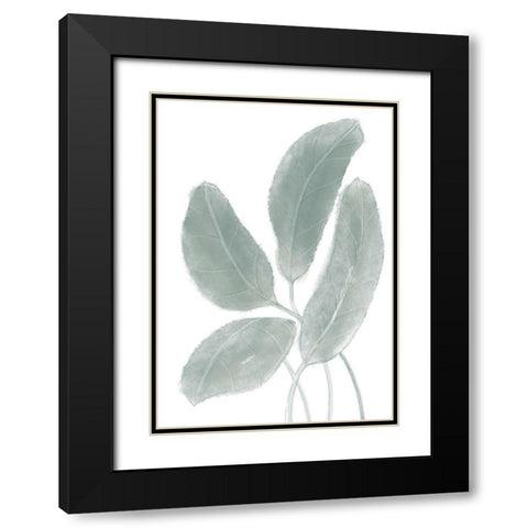 Leaves Watercolor 02 Black Modern Wood Framed Art Print with Double Matting by 1x Studio II