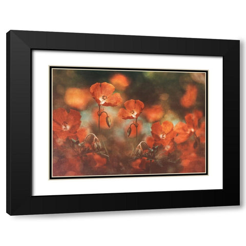Floral Art In Red Black Modern Wood Framed Art Print with Double Matting by Georgieva V, Nikki