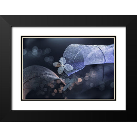 Fantasasa De Invierno... Black Modern Wood Framed Art Print with Double Matting by Kopcev, Igor