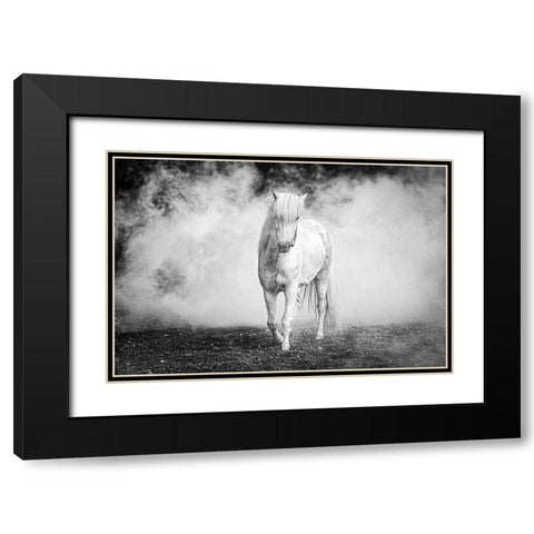 Icelandic Pony Black Modern Wood Framed Art Print with Double Matting by C. Sink, Jeffrey