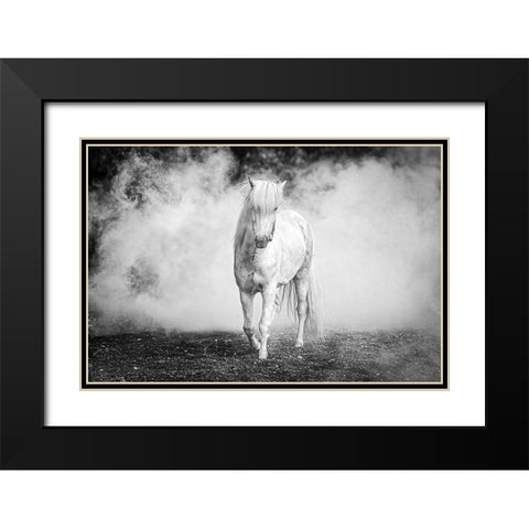 Icelandic Pony Black Modern Wood Framed Art Print with Double Matting by C. Sink, Jeffrey