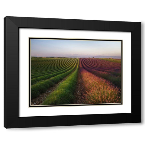 Field Of Lavender Black Modern Wood Framed Art Print with Double Matting by Anton, Rostovskiy