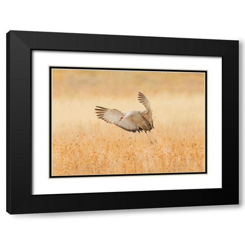 Untitled Black Modern Wood Framed Art Print with Double Matting by Wang, Qingsong