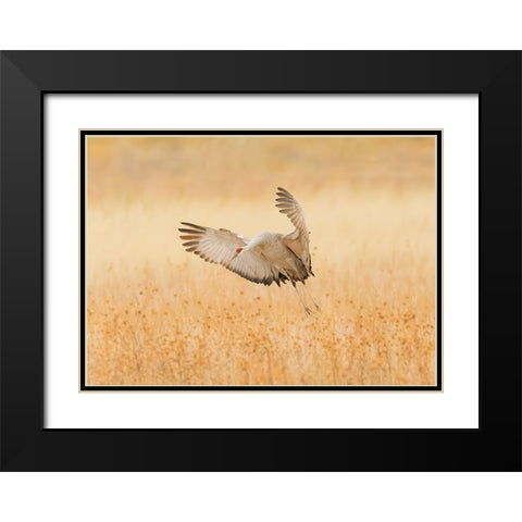 Untitled Black Modern Wood Framed Art Print with Double Matting by Wang, Qingsong