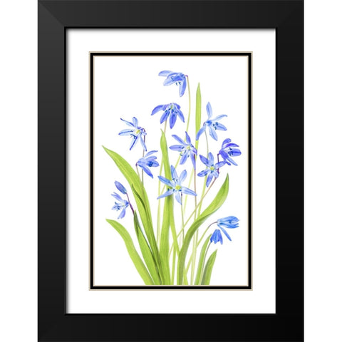 Scilla Black Modern Wood Framed Art Print with Double Matting by Disher, Mandy