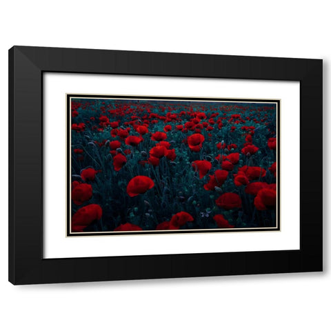 Symphony Of Flowers Black Modern Wood Framed Art Print with Double Matting by Kazamil, Farid