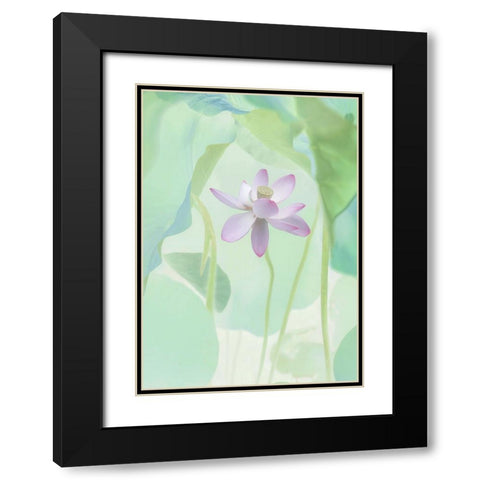 Lotus Flower Black Modern Wood Framed Art Print with Double Matting by L., Binbin