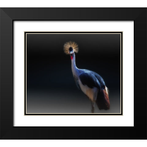 crane Black Modern Wood Framed Art Print with Double Matting by Kamera