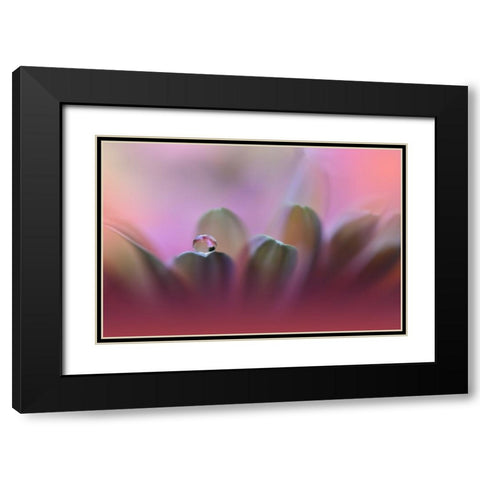 Untitled Black Modern Wood Framed Art Print with Double Matting by Nan, Juliana