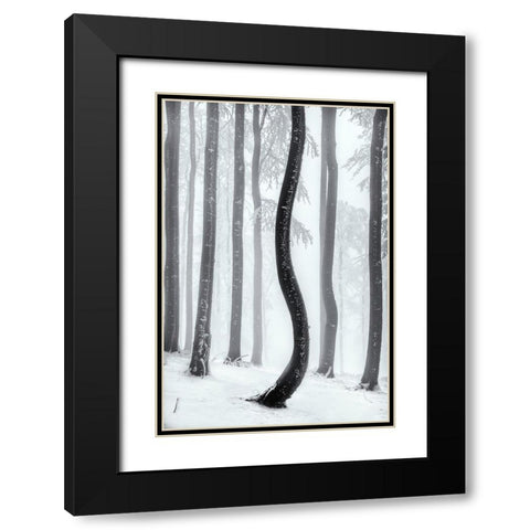 Dancing Tree Black Modern Wood Framed Art Print with Double Matting by Pavlasek, Tom
