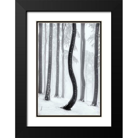 Dancing Tree Black Modern Wood Framed Art Print with Double Matting by Pavlasek, Tom