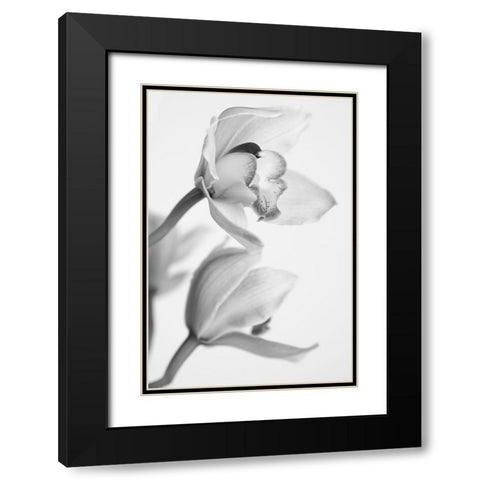 Orchid Black Modern Wood Framed Art Print with Double Matting by Mandich, Igor