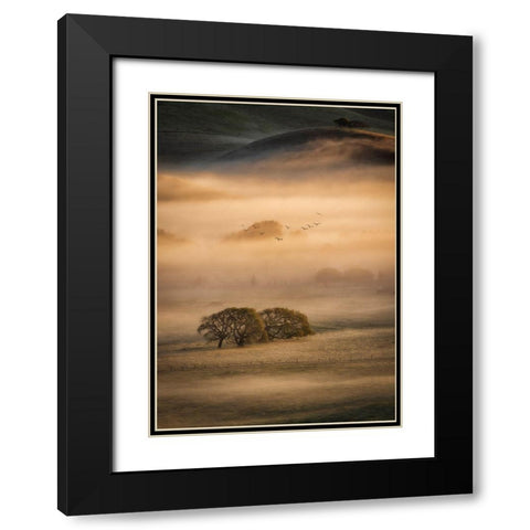 Morning Fog Black Modern Wood Framed Art Print with Double Matting by Zheng, Michael