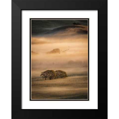 Morning Fog Black Modern Wood Framed Art Print with Double Matting by Zheng, Michael