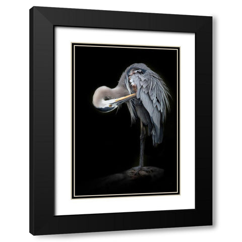 The Great Blue Heron Black Modern Wood Framed Art Print with Double Matting by D Lester, Linda