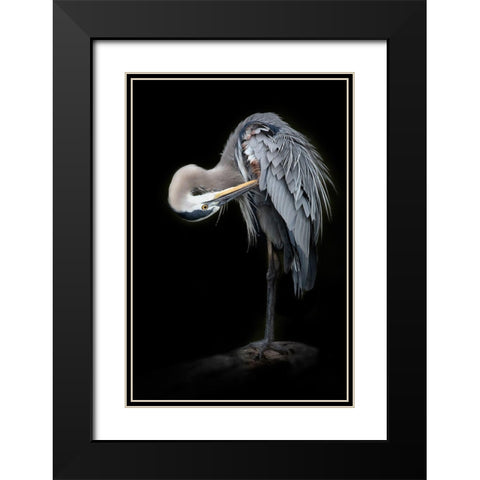 The Great Blue Heron Black Modern Wood Framed Art Print with Double Matting by D Lester, Linda