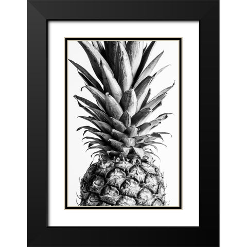 Pinapple Black a White 03 Black Modern Wood Framed Art Print with Double Matting by 1x Studio III