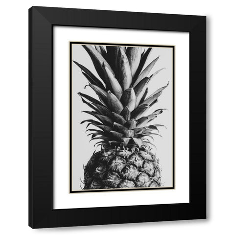 Pinapple Black a White 04 Black Modern Wood Framed Art Print with Double Matting by 1x Studio III