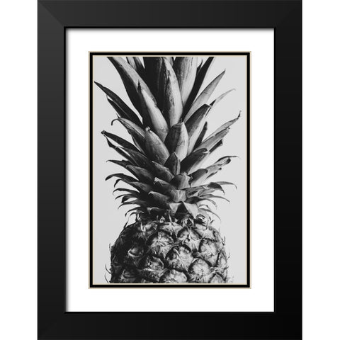 Pinapple Black a White 04 Black Modern Wood Framed Art Print with Double Matting by 1x Studio III