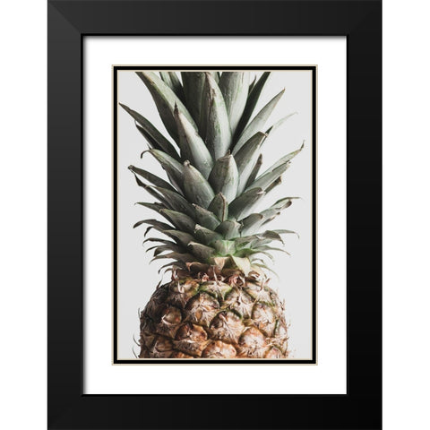 Pineapple Natural 03 Black Modern Wood Framed Art Print with Double Matting by 1x Studio III