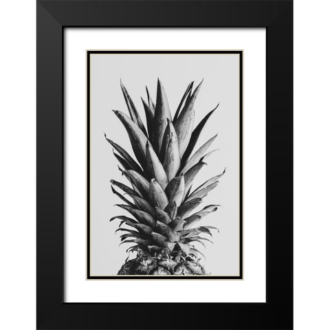 Pinapple Black a White 05 Black Modern Wood Framed Art Print with Double Matting by 1x Studio III