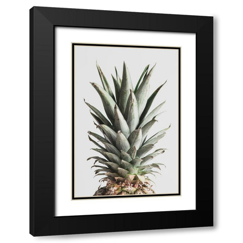 Pineapple Natural 02 Black Modern Wood Framed Art Print with Double Matting by 1x Studio III