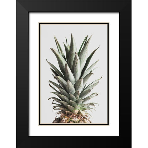 Pineapple Natural 02 Black Modern Wood Framed Art Print with Double Matting by 1x Studio III
