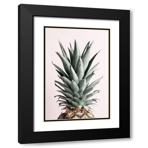 Pineapple Natural Tint Black Modern Wood Framed Art Print with Double Matting by 1x Studio III