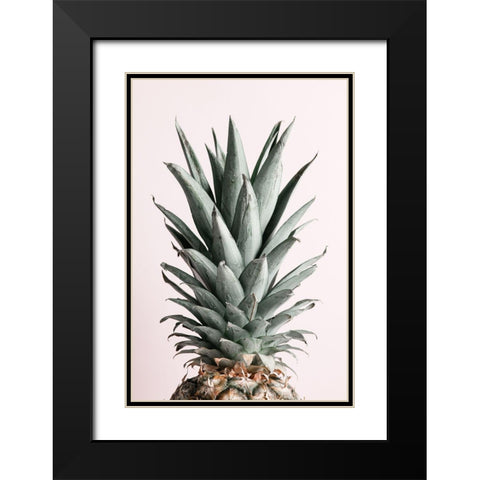 Pineapple Natural Tint Black Modern Wood Framed Art Print with Double Matting by 1x Studio III