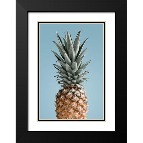 Pineapple Blue 02 Black Modern Wood Framed Art Print with Double Matting by 1x Studio III