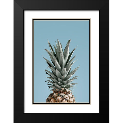 Pineapple Blue 04 Black Modern Wood Framed Art Print with Double Matting by 1x Studio III