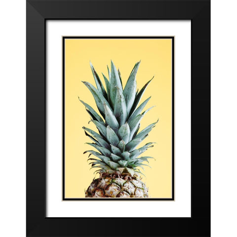 Pineapple Yellow 03 Black Modern Wood Framed Art Print with Double Matting by 1x Studio III