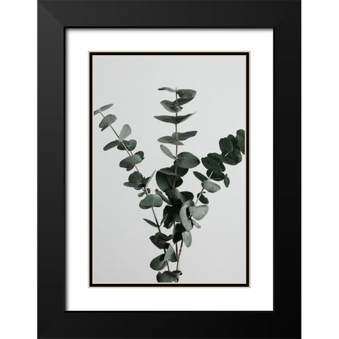 Eucalyptus Natural 01 Black Modern Wood Framed Art Print with Double Matting by 1x Studio III