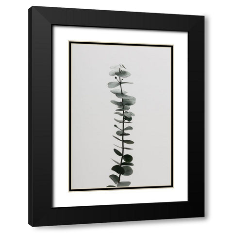 Eucalyptus Natural 02 Black Modern Wood Framed Art Print with Double Matting by 1x Studio III
