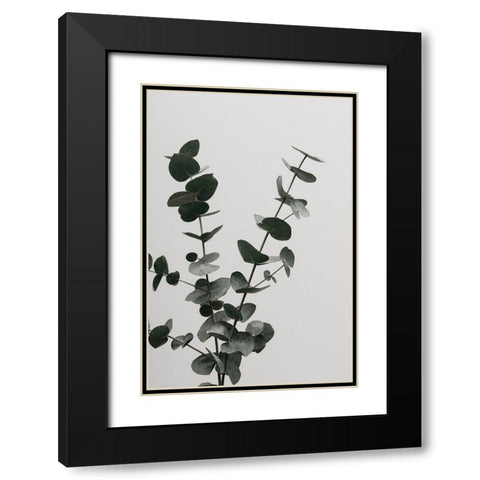 Eucalyptus Natural 04 Black Modern Wood Framed Art Print with Double Matting by 1x Studio III
