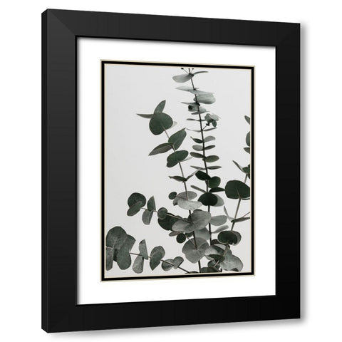 Eucalyptus Natural 07 Black Modern Wood Framed Art Print with Double Matting by 1x Studio III