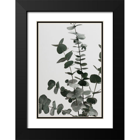 Eucalyptus Natural 07 Black Modern Wood Framed Art Print with Double Matting by 1x Studio III