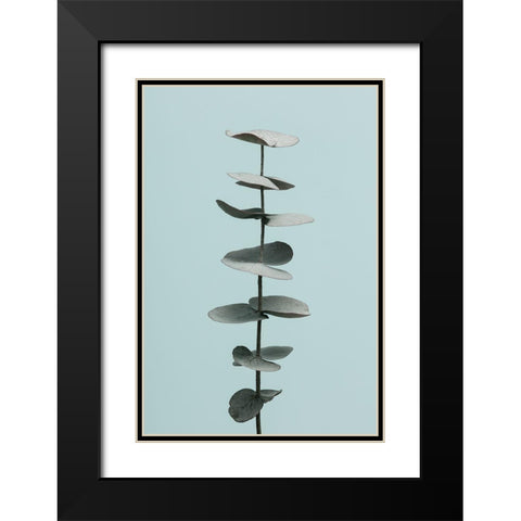 Eucalyptus Blue No 1 Black Modern Wood Framed Art Print with Double Matting by 1x Studio III