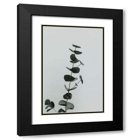 Eucalyptus Natural 10 Black Modern Wood Framed Art Print with Double Matting by 1x Studio III