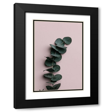 Eucalyptus Pink No 01 Black Modern Wood Framed Art Print with Double Matting by 1x Studio III