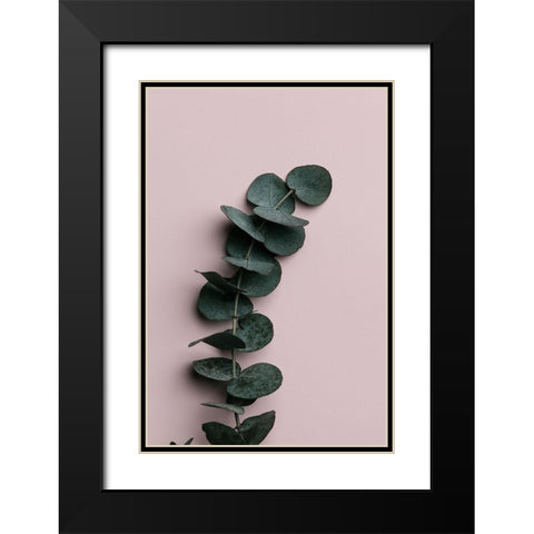 Eucalyptus Pink No 01 Black Modern Wood Framed Art Print with Double Matting by 1x Studio III