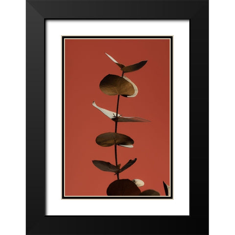 Eucalyptus Gold Rust 04 Black Modern Wood Framed Art Print with Double Matting by 1x Studio III
