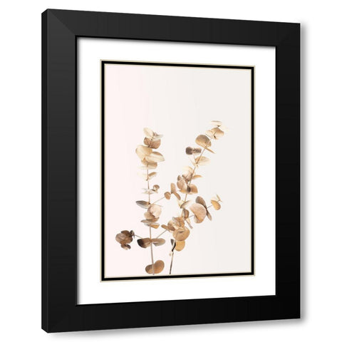 Eucalyptus Gold No 02 Black Modern Wood Framed Art Print with Double Matting by 1x Studio III