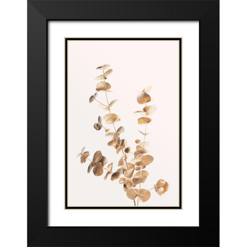 Eucalyptus Gold No 04 Black Modern Wood Framed Art Print with Double Matting by 1x Studio III