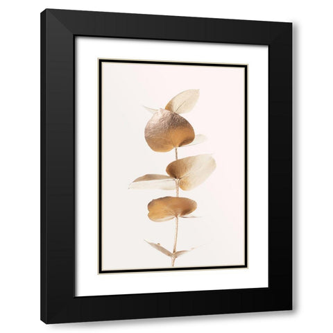 Eucalyptus Gold No 06 Black Modern Wood Framed Art Print with Double Matting by 1x Studio III