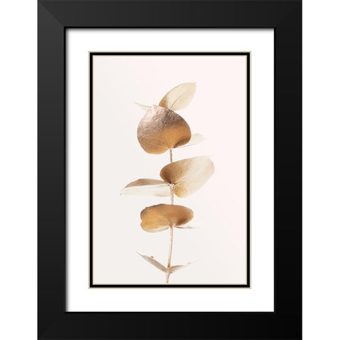 Eucalyptus Gold No 06 Black Modern Wood Framed Art Print with Double Matting by 1x Studio III