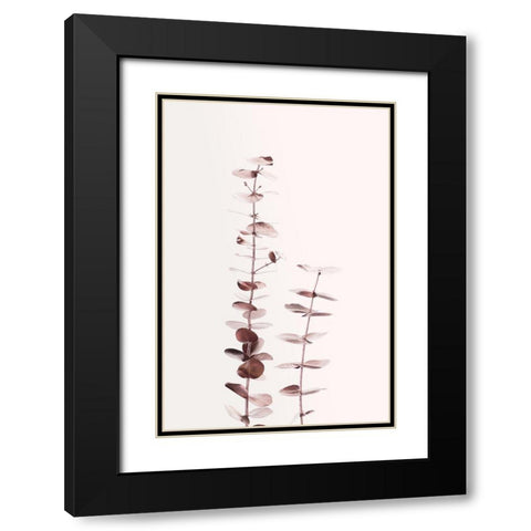 Eucalyptus Copper No 02 Black Modern Wood Framed Art Print with Double Matting by 1x Studio III